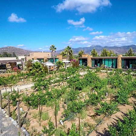 Entre Vinedos By Hotel Boutique Valle De Guadalupe Eksteriør bilde