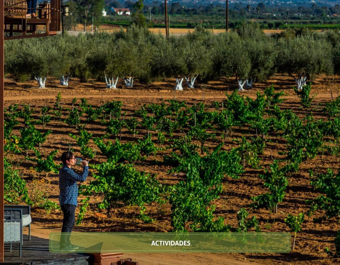 Entre Vinedos By Hotel Boutique Valle De Guadalupe Eksteriør bilde