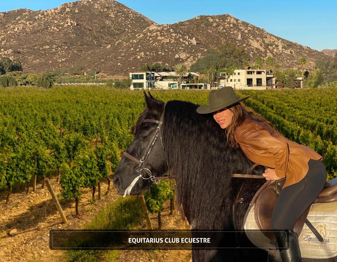 Entre Vinedos By Hotel Boutique Valle De Guadalupe Eksteriør bilde
