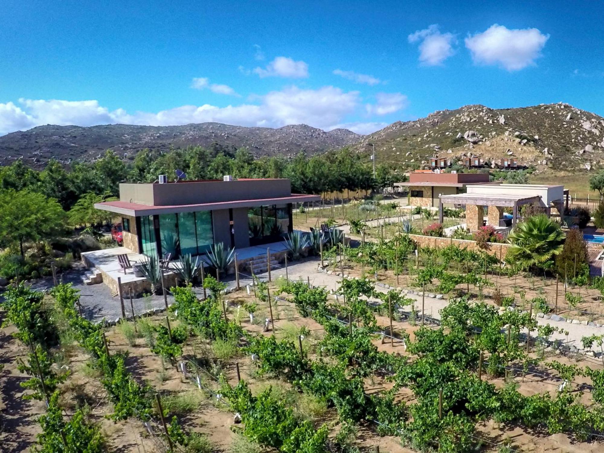 Entre Vinedos By Hotel Boutique Valle De Guadalupe Rom bilde